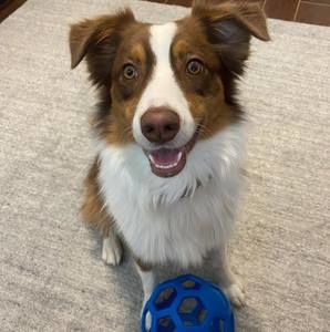 Meet your Posher, Laura